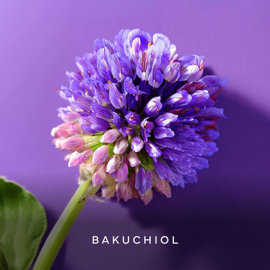 Bakuchiol