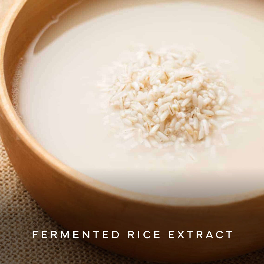 Fermented Rice Extract