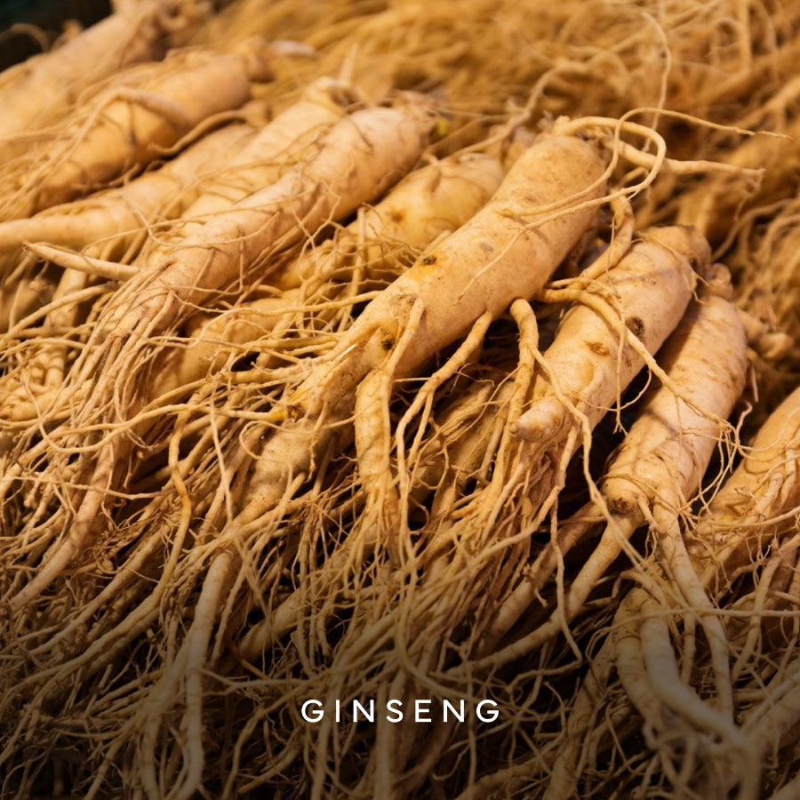 Ginseng