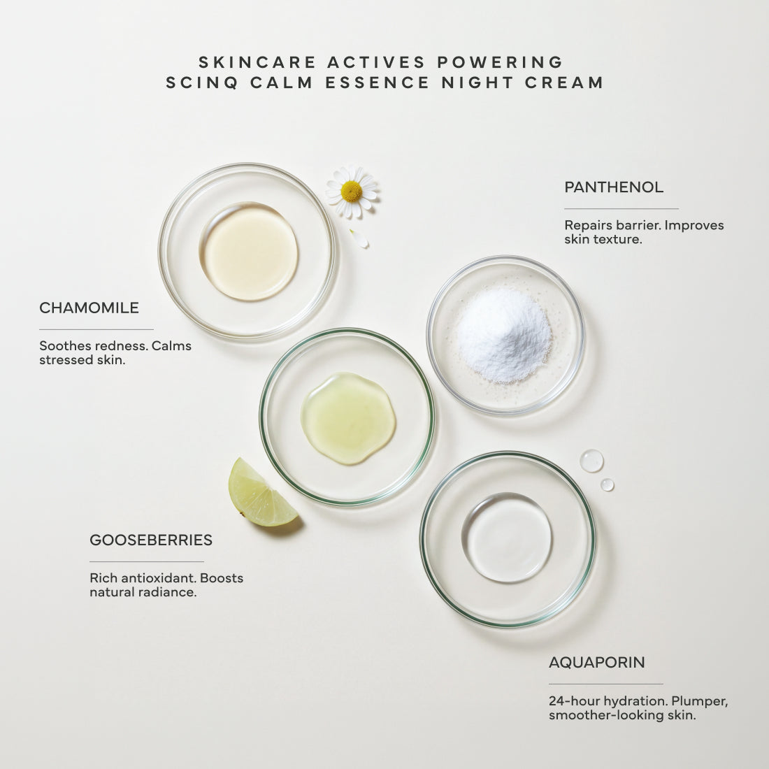 Calm Essence Night Cream With Neurophroline™